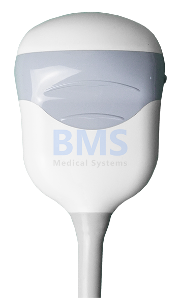 GE RM6C głowica ultrasonograficzna